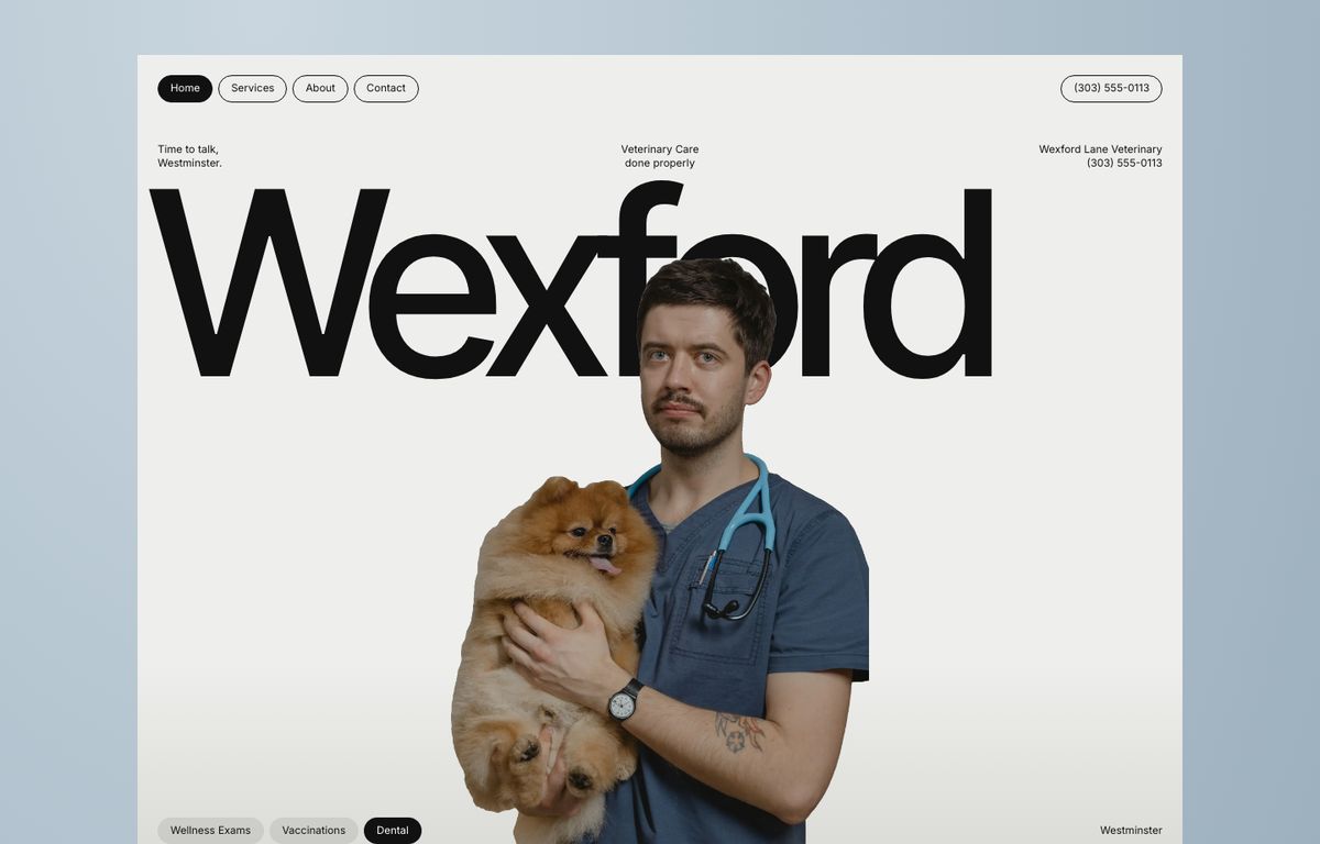 Veterinary website example: the home page of a veterinary site in the Hotle design